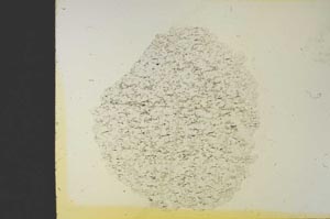 Plane Polarized, S19252