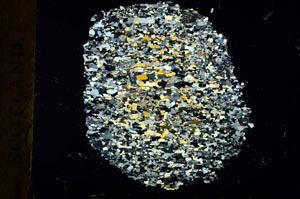 Cross Polarized, S19253