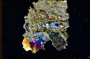 Cross Polarized, S19254