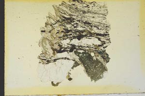 Plane Polarized, S19254