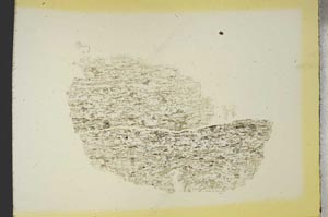 Plane Polarized, S19256