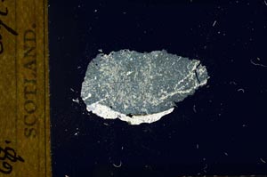 Cross Polarized, S19280