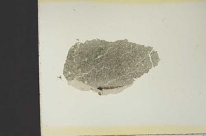 Plane Polarized, S19280