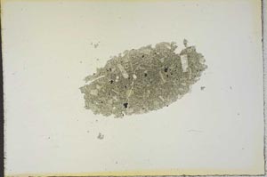 Plane Polarized, S19281