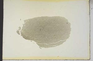 Plane Polarized, S19282