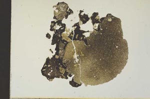 Plane Polarized, S19336