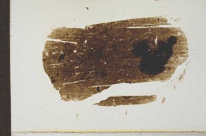 Plane Polarized, S19345