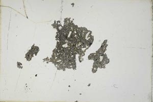 Plane Polarized, S19414