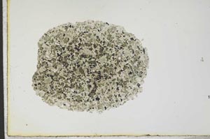 Plane Polarized, S19454