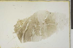 Plane Polarized, S19489