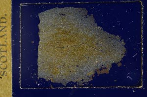 Cross Polarized, S19528
