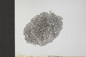 Plane Polarized, S19542