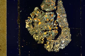 Cross Polarized, S19543