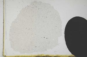 Plane Polarized, S19546