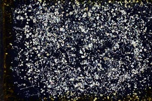 Cross Polarized, S19556