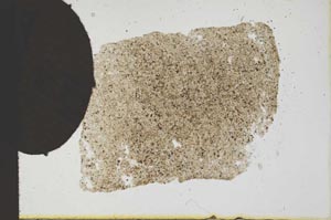 Plane Polarized, S19581