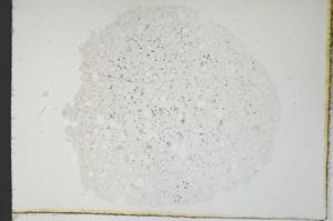 Plane Polarized, S19587