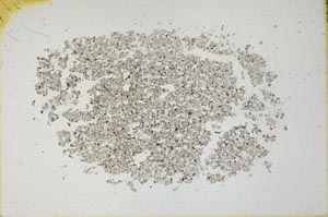 Plane Polarized, S19596