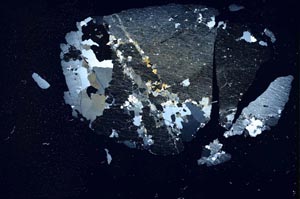 Cross Polarized, S19638