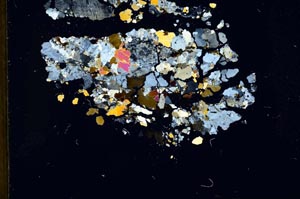 Cross Polarized, S19645