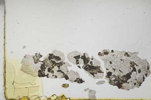 Plane Polarized, S19657