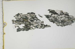 Plane Polarized, S19663