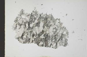Plane Polarized, S19677