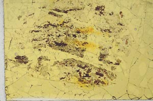 Plane Polarized, S19690