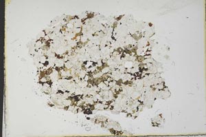 Plane Polarized, S19695