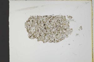Plane Polarized, S19717