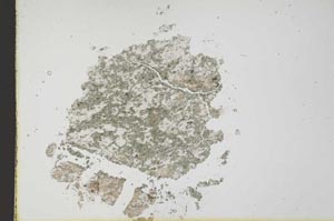 Plane Polarized, S19718