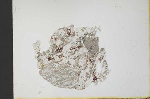 Plane Polarized, S19721