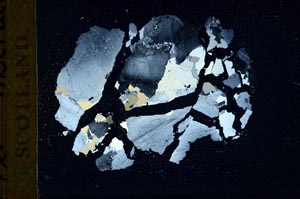 Cross Polarized, S19792