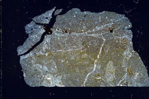 Cross Polarized, S19835