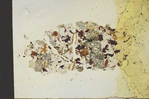 Plane Polarized, S19874