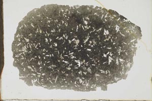 Plane Polarized, S19924