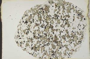 Plane Polarized, S19927