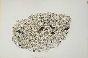 Plane Polarized, S19929