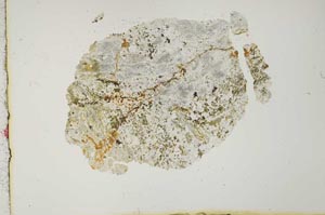 Plane Polarized, S19930