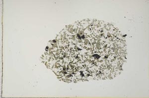 Plane Polarized, S19931