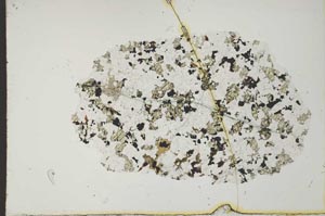 Plane Polarized, S19943