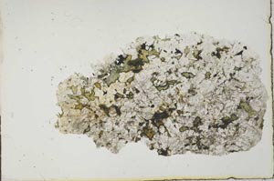 Plane Polarized, S19945