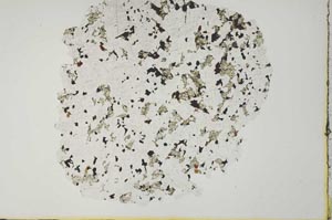 Plane Polarized, S19951