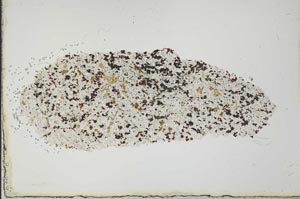 Plane Polarized, S19973
