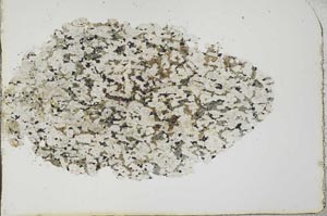 Plane Polarized, S19974