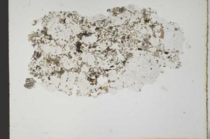 Plane Polarized, S19979