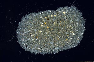 Cross Polarized, S20003