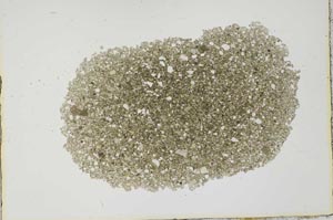 Plane Polarized, S20003