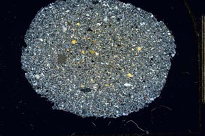 Cross Polarized, S20004