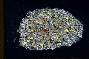 Cross Polarized, S20005